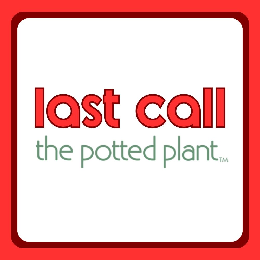 Last Call: The Potted Plant