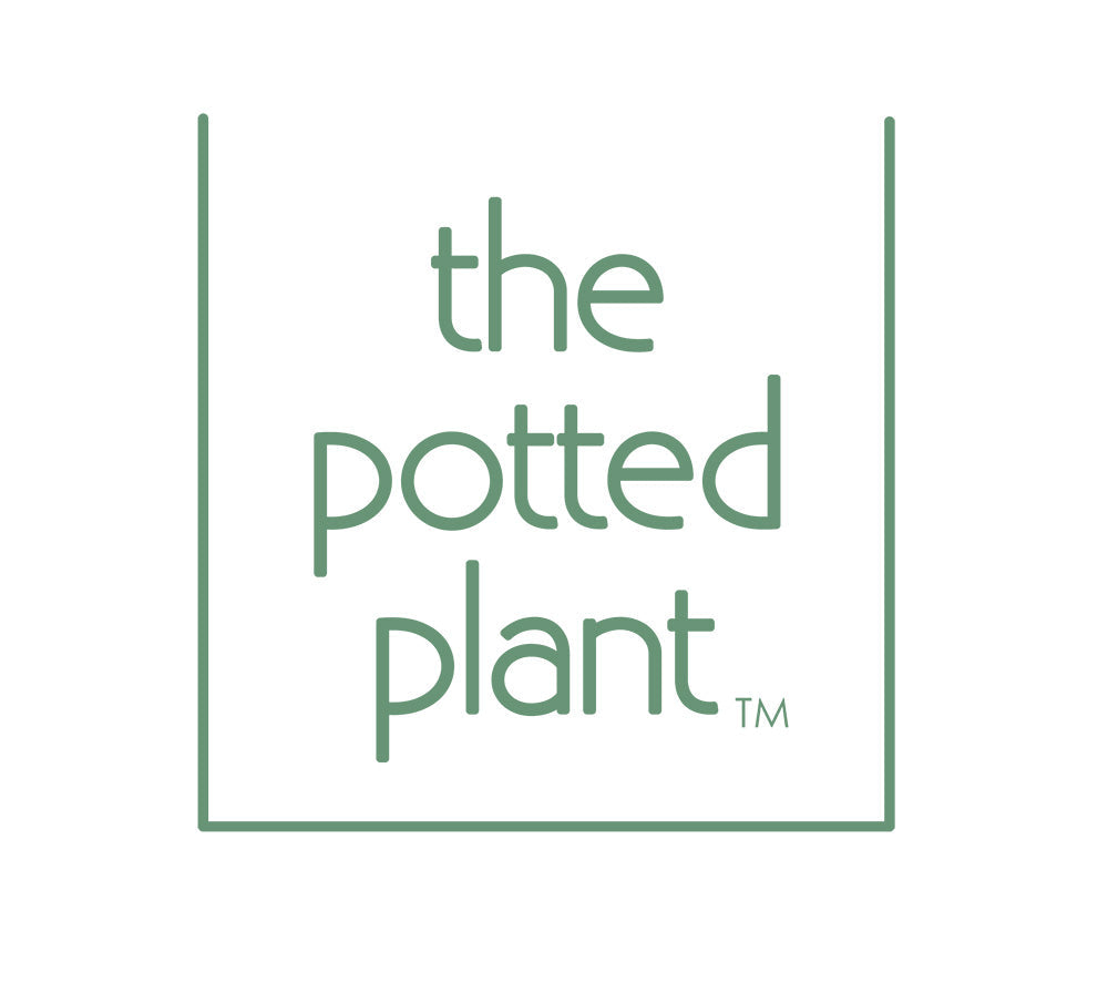 The Potted Plant